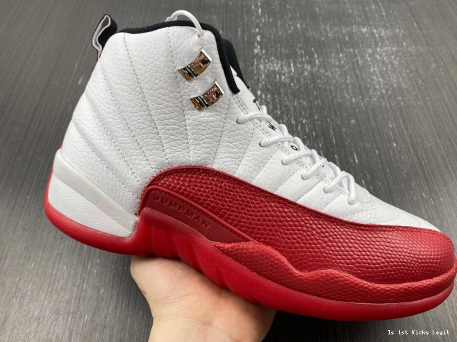 Air Jordan Cherry 130690-110 Retro 12 0802